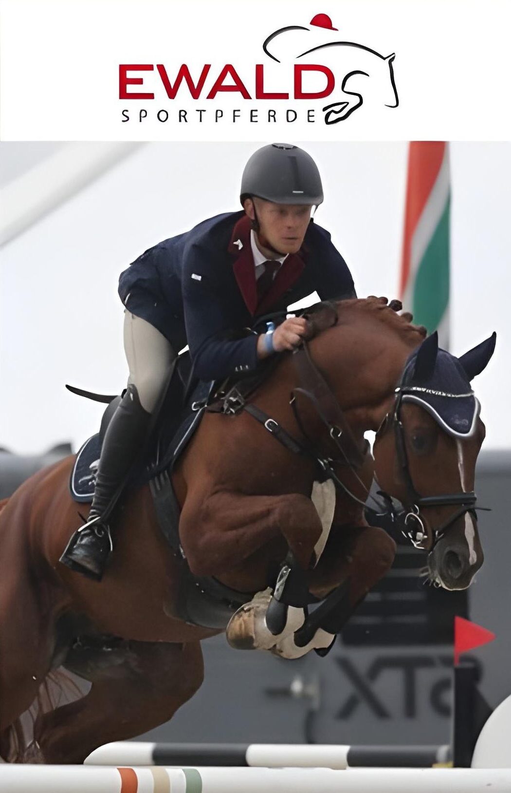 Ein Reiter von Ewald Sportpferde springt mit seinem Pferd über ein Hindernis während eines internationalen Springturniers, Symbol für Disziplin, Vertrauen und sportliche Exzellenz.