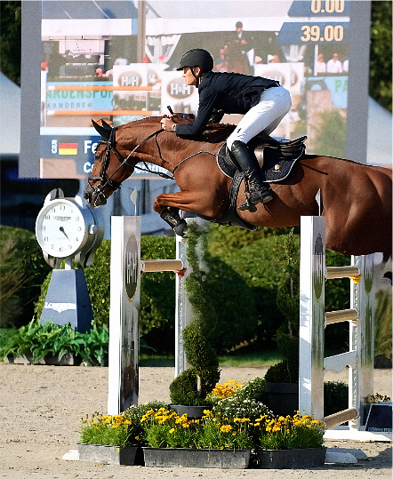 Jahač u natjecateljskoj uniformi i kacigi skače s konjem preko SX prepreke na preponskom turniru u zatvorenoj areni.